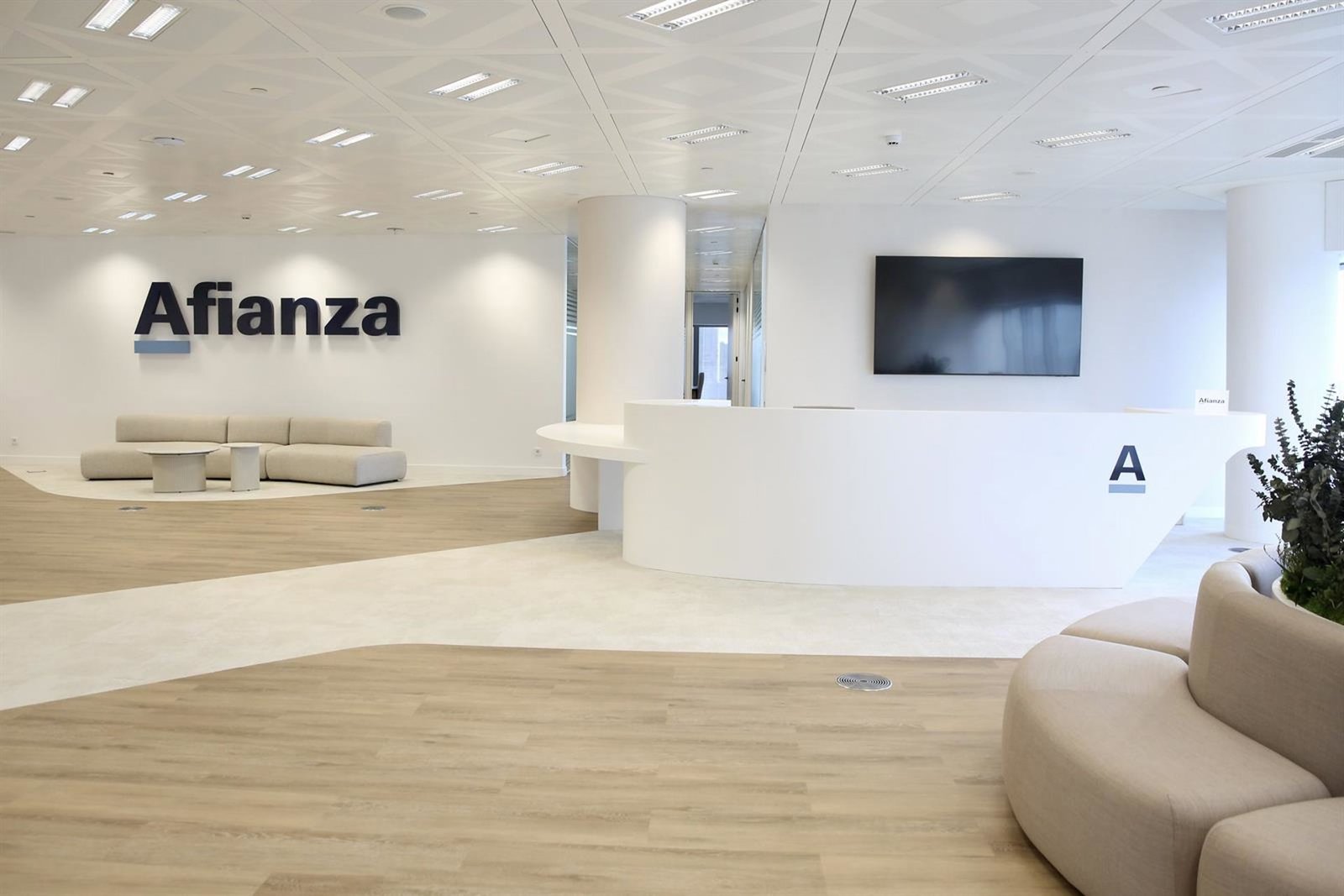 El área de Estrategia y Transacciones de Afianza completa 12 operaciones en 2025 por más de 100 millones