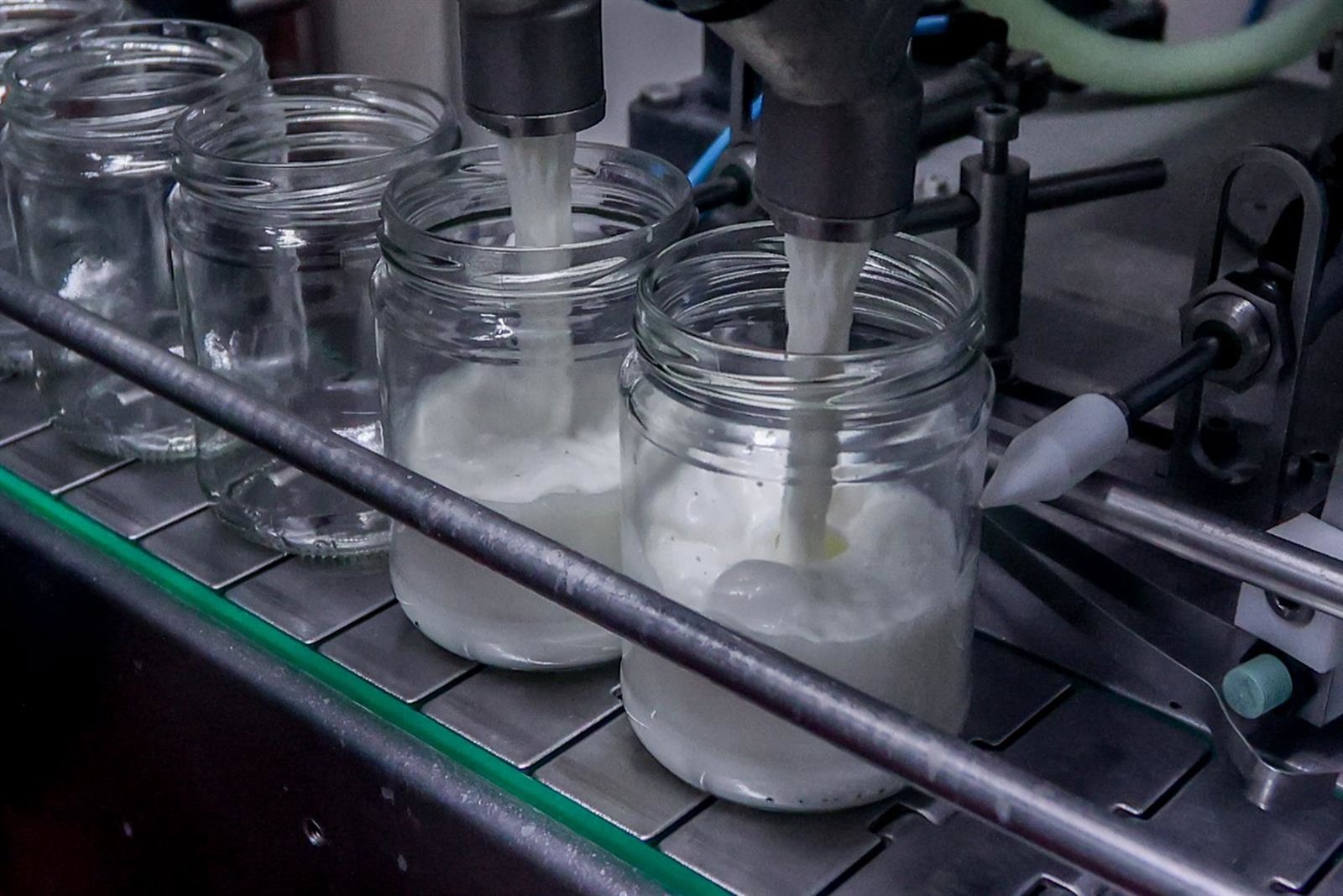 Especialistas destacan las propiedades de los lácteos de cabra para mejorar digestiones y enriquecer la microbiota