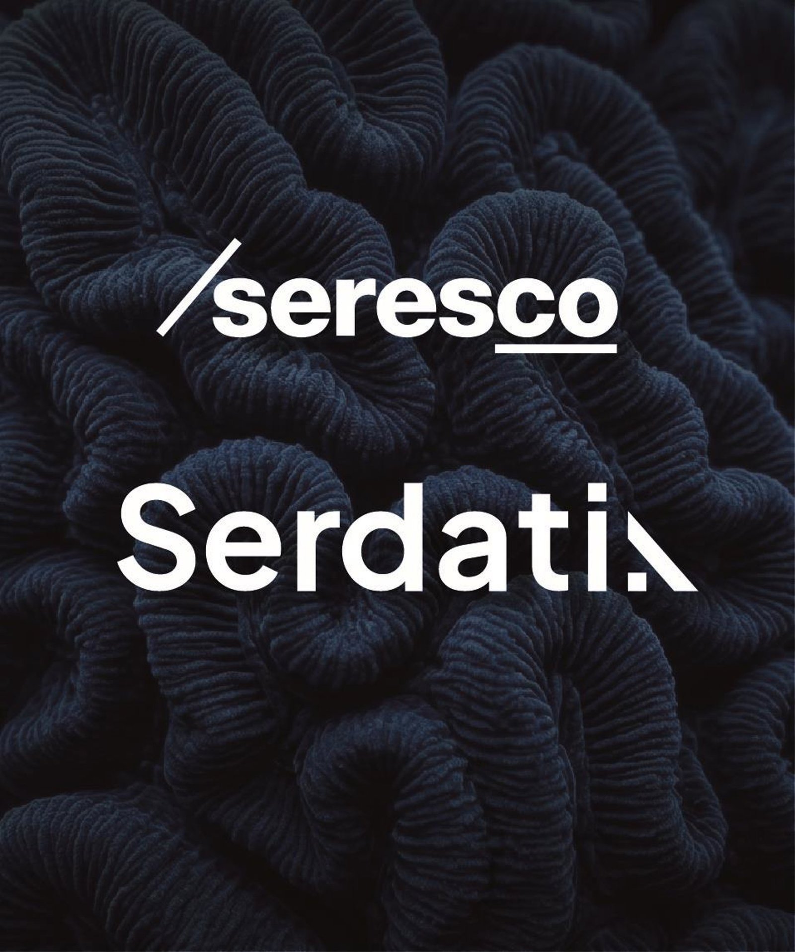 Seresco crea Serdatia, una filial especializada en datos e inteligencia artificial aplicada