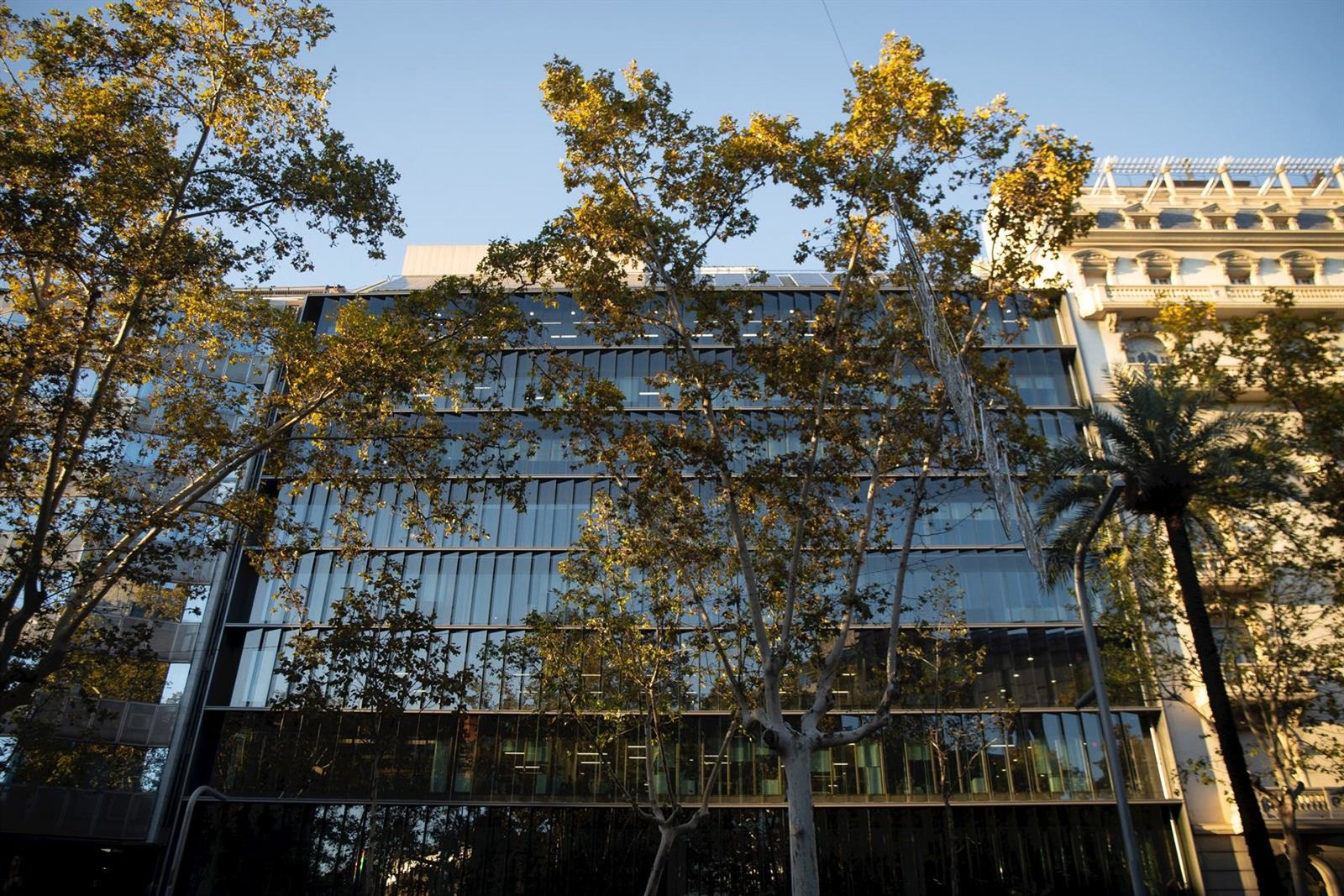 Colonial SFL obtiene un beneficio recurrente de 55 millones de euros hasta marzo, un 1% más