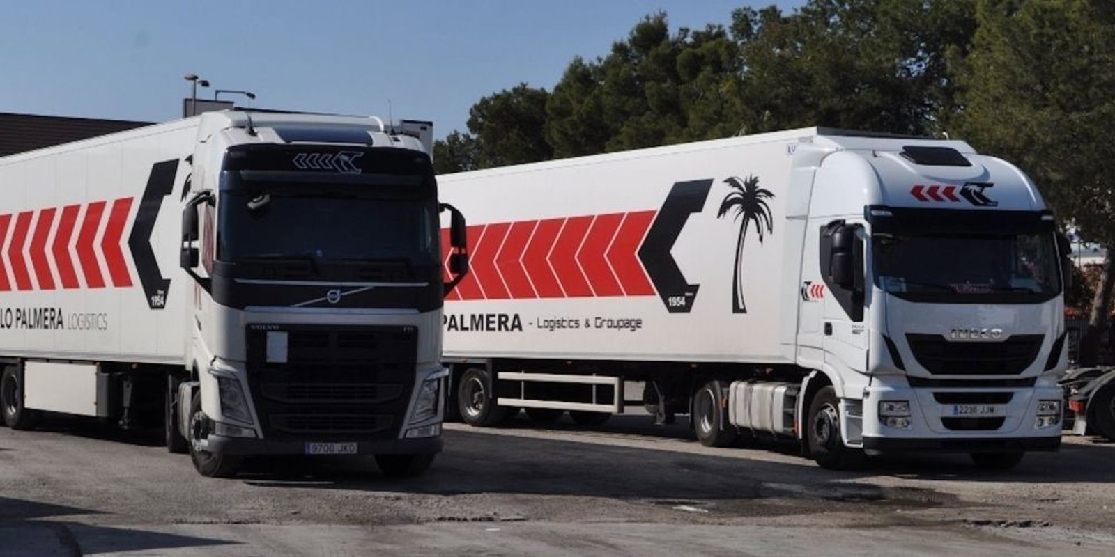 Ontime incorpora a Campillo Palmera para reforzar su expansión internacional en logística de frío