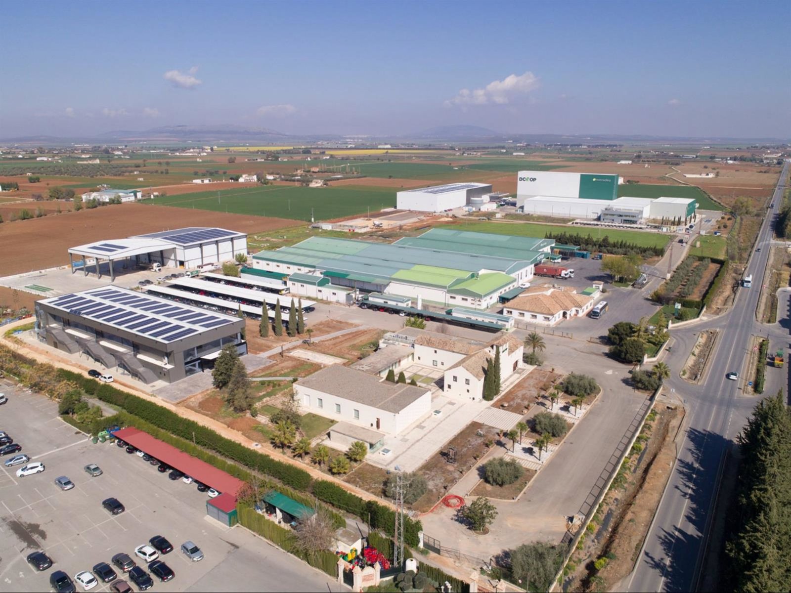 Grupo Dcoop cierra 2025 con facturación consolidada de 1.421 millones, un 8% menos por bajada de cotizaciones
