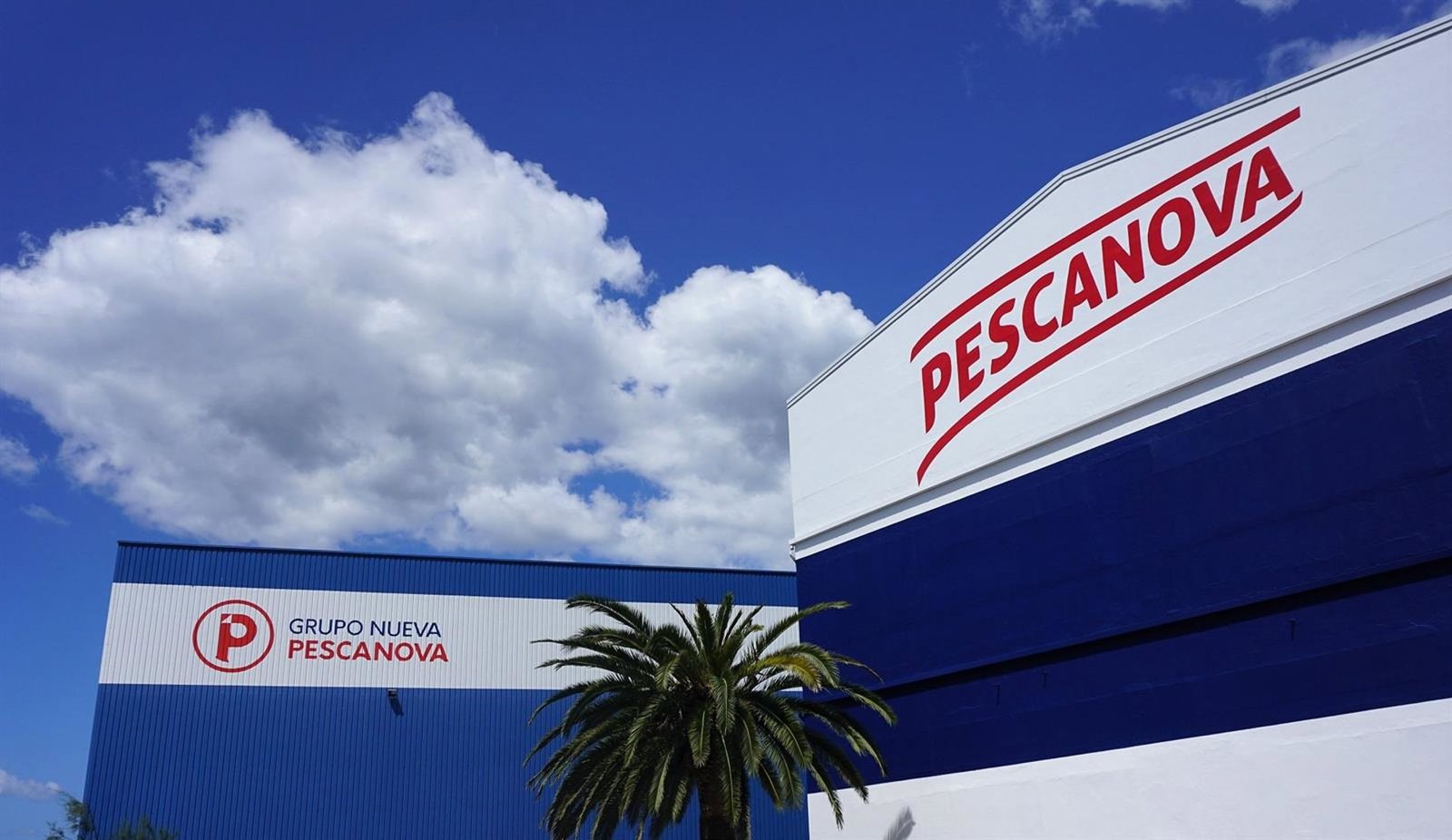 La ‘vieja Pescanova’ reduce su peso en Nueva Pescanova y ya solo posee el 0,08% del capital