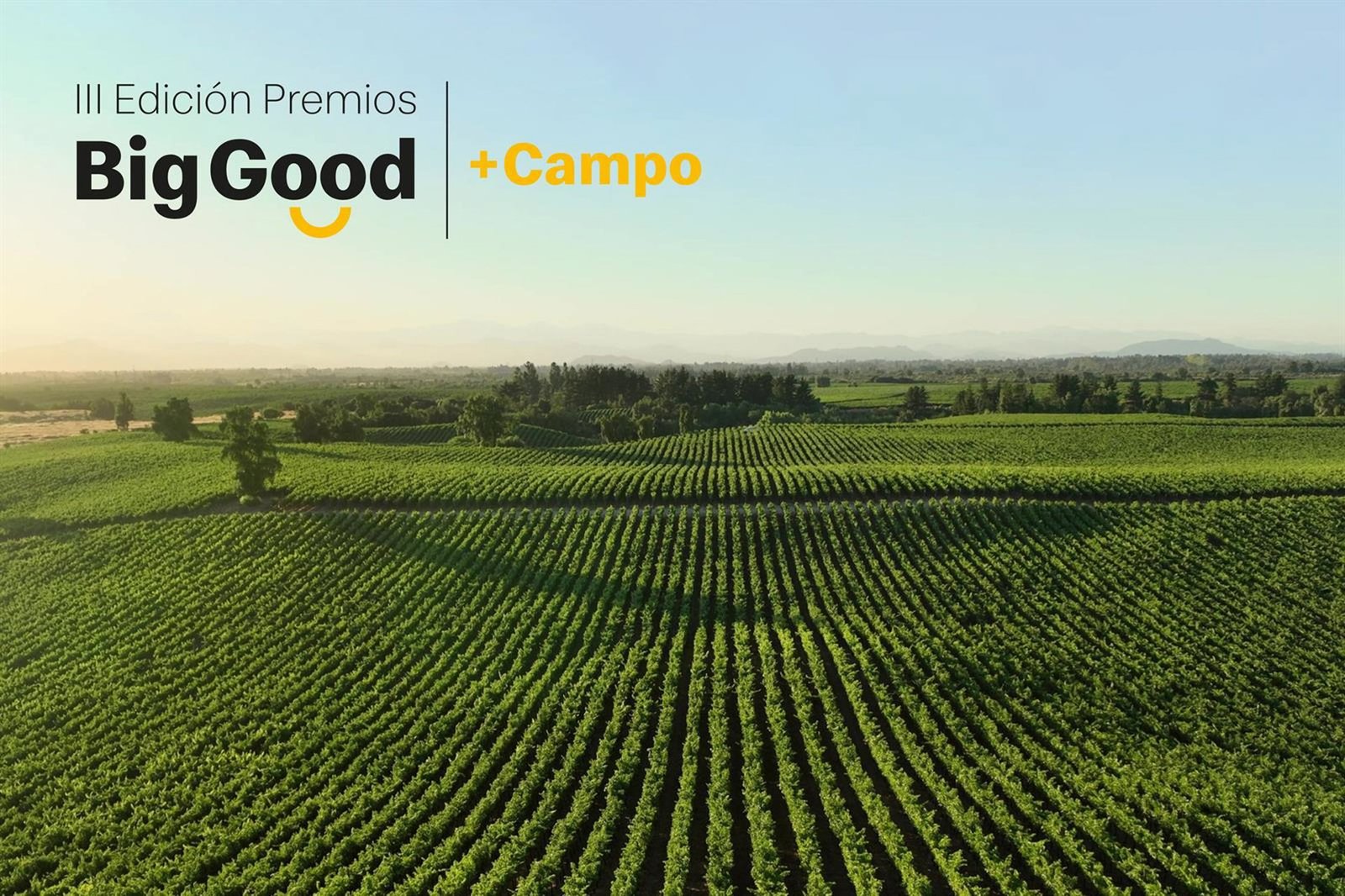 McDonald’s alcanza las 100 candidaturas en los Premios Big Good en la recta final de su III edición